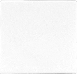 Фото JUNG LS990 LS961BWW Заглушка (под рамку, скрытая установка, белая)