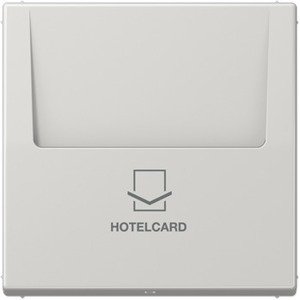 Фото Jung LS590CARDLG Накладка карточного выключателя (светло-серая)