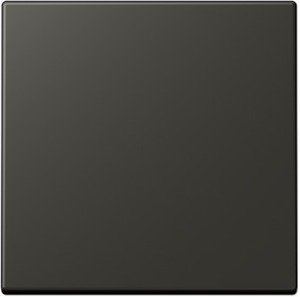 Фото Jung Le Corbusier LC9904320R Клавиша одиночная (ombre naturelle 59)