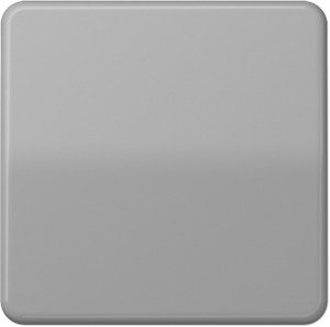 Фото Jung CD500 CD1561.07GR Клавиша для нажимного диммера (серая)