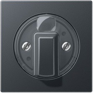 Фото Jung A500 A1541BFANM Крышка для поворотного выключателя и таймера (матовый антрацит)