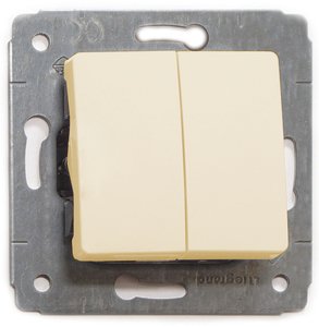 Фото Legrand Cariva 773758 Выключатель двухклавишный (10 А, под рамку, с/у, слоновая кость)