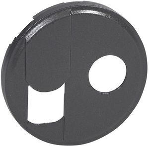 Фото Legrand Celiane 067939 Крышка розетки комбинированной (RJ45+TV, графит)