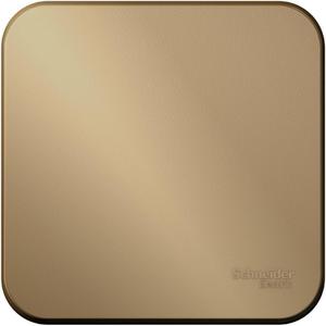 Фото Schneider Electric BLNCA101014 BLANCA О/У 1-клавишный ВЫКЛЮЧАТЕЛЬ (cх.1) с самовозв.,ИЗОЛ.ПЛ.,10А, ТИТАН