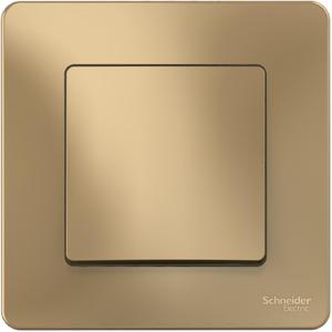 Фото Schneider Electric Blanca BLNVS010604 Переключатель одноклавишный (10 А, в сборе, с/у, титан)
