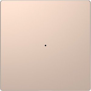 Фото Schneider Electric Merten D-Life PlusLink MTN5210-6051 Клавиша одиночная (шампань)