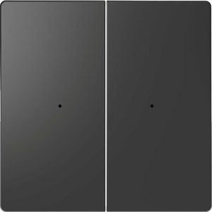 Фото Schneider Electric Merten D-Life PlusLink MTN5220-6034 Клавиша двойная (антрацит)