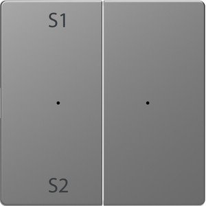 Фото Schneider Electric Merten D-Life PlusLink MTN5226-6036 Клавиша двойная "S1/S2" (нержавеющая сталь)