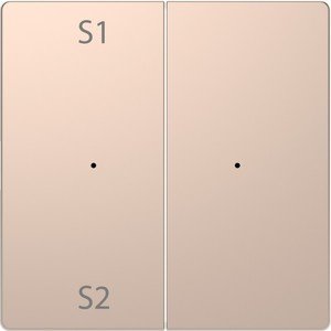 Фото Schneider Electric Merten D-Life PlusLink MTN5226-6051 Клавиша двойная "S1/S2" (шампань)