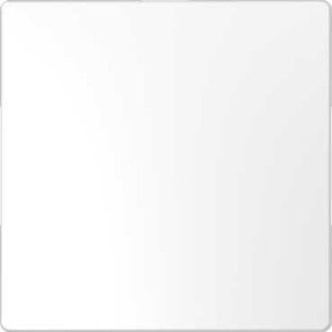 Фото Schneider Electric Merten D-Life MTN4075-6035 Заглушка (под рамку, скрытая установка, белый лотос)