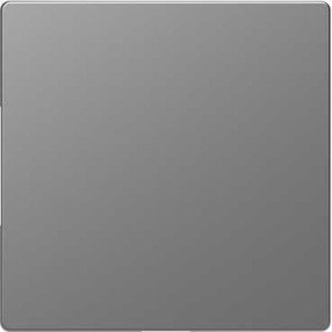 Фото Schneider Electric Merten D-Life MTN4075-6036 Заглушка (под рамку, скрытая установка, нержавеющая сталь)