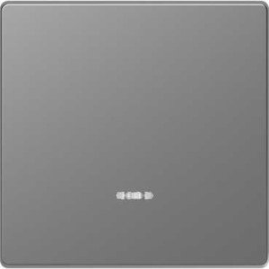 Фото Schneider Electric Merten D-Life MTN3320-6036 Клавиша одиночная (линза индикации, нержавеющая сталь)