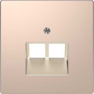 Фото Schneider Electric Merten D-Life MTN4522-6051 Крышка розетки информационной (2xRJ45, шампань)