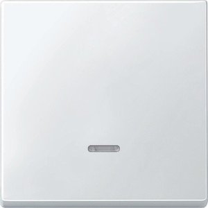 Фото Schneider Electric Merten Artec/Antique MTN438019 Клавиша выключателя одиночная (линза индикатора, полярно-белая)