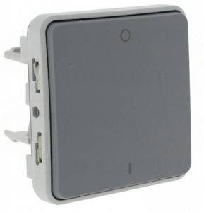 Фото Legrand Plexo 069530 Выключатель одноклавишный двухполюсный (10 А, IP55, под рамку, скрытая установка, серый)