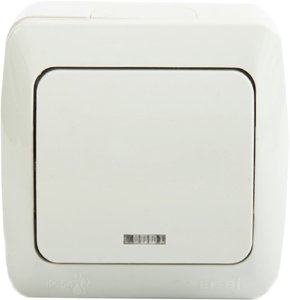 Фото ABB Eva 554-011500-201 Выключатель одноклавишный (10 А, в сборе, IP54, подсветка, о/у, серый)
