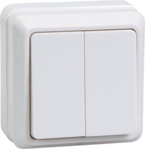 Фото ABB Eva 554-011500-202 Выключатель двухклавишный (10 А, в сборе, IP54, о/у, серый)