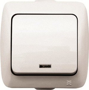 Фото ABB Tuna 502-010303-210 Переключатель одноклавишный (10 А, подсветка, в сборе, с/у, кремовый)