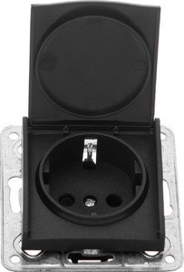 Фото ABB Zena 500-011100-218 Розетка (10 А, в сборе, крышка, с/у, з/к, платина)