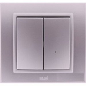 Фото ABB Zena 500-011000-202 Выключатель двухклавишный (10 А, в сборе, с/у, серый)