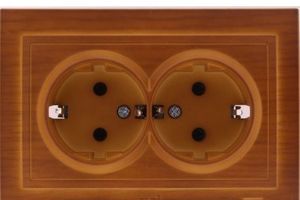 Фото ABB Zirve 501-000601-908 Розетка двойная (10 А, в сборе, скрытая установка, вишня)
