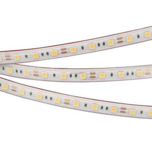 Фото Arlight RTW 2-5000PS 022324 Светодиодная лента 12В Day White 2x (5060, IP67, 300 LED, LUX, 5 м)