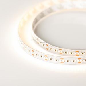 Фото Arlight Microled-5000HP 023590 Светодиодная лента 24В Warm3000 10mm (2216, IP33, 300 LED, LUX, 5 м)