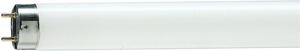 Фото Philips 928047305451 Лампа люминесцентная TL-D 18W/54-765 18Вт T8 6200К G13 / 872790081578800