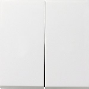 Фото Gira F100 0128112 Переключатель двухклавишный с самовозвратом (10 А, под рамку, скрытая установка, белый глянцевый)