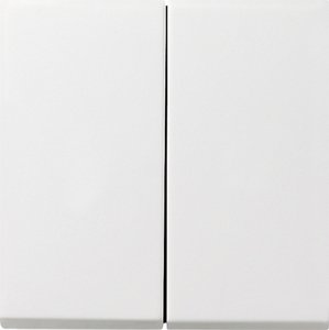 Фото Gira F100 0125112 Выключатель двухклавишный с самовозвратом (10 А, под рамку, скрытая установка, белый глянцевый)