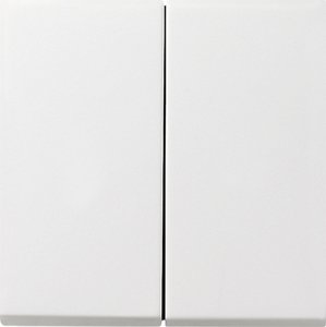Фото Gira F100 0295112 Клавиша двойная (белая глянцевая)