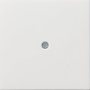 Фото Gira F100 0274112 Крышка для вывода кабеля (белая глянцевая)