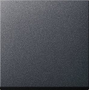 Фото Gira System55 231628 Клавиша одиночная (антрацит)