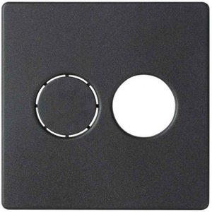 Фото Simon Simon 82 82082-38 Крышка розетки акустической (2хAudio, графит)