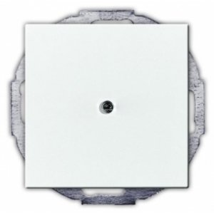 Фото ABB Basic55 2CKA001710A3772 Вывод кабеля (под рамку, с/у, альпийский белый)