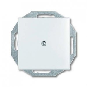 Фото ABB Basic55 2CKA001715A0312 Заглушка с суппортом (под рамку, с/у, альпийский белый)