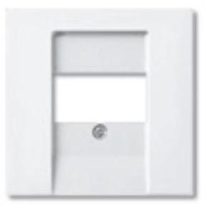Фото ABB Basic55 2CKA001724A4275 Крышка розетки телефонной/компьютерной (USB, альпийский белый)