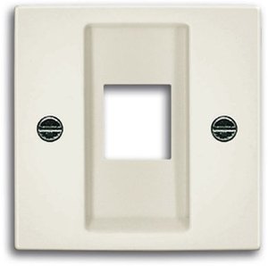 Фото ABB Basic55 2CKA001753A0215 Крышка розетки компьютерной (RJ45, chalet-белый)