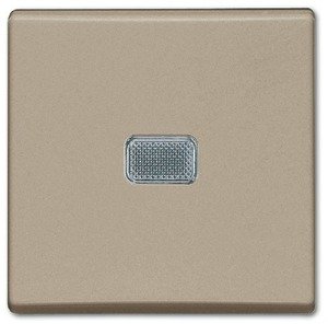 Фото ABB Basic55 2CKA001012A2165 Выключатель одноклавишный (10 А, подсветка, под рамку, скрытая установка, шампань)
