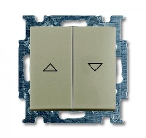 Фото ABB Basic55 2CKA001012A2166 Выключатель двухклавишный жалюзийный (10 А, под рамку, скрытая установка, шампань)