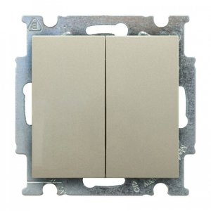 Фото ABB Basic55 2CKA001012A2171 Переключатель двухклавишный (10 А, под рамку, скрытая установка, шампань)