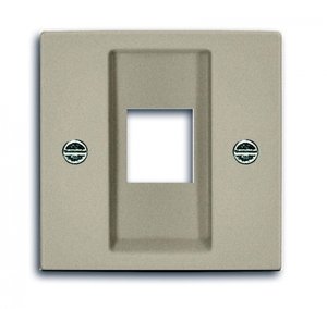 Фото ABB Basic55 2CKA001753A0212 Крышка розетки компьютерной (RJ45, шампань)