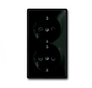 Фото ABB Basic55 2CKA002021A0381 Розетка двойная с заземляющим контактом (16 А, шторки, в сборе, скрытая установка, альпийский chateau-черный)