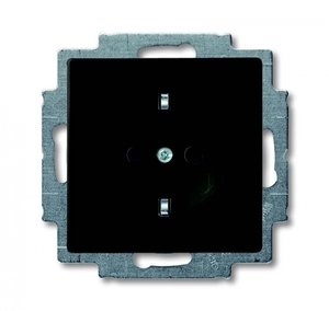 Фото ABB Basic55 2CKA002011A6142 Розетка с заземляющим контактом (16 А, под рамку, скрытая установка, альпийский chateau-черный)