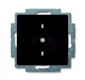 Фото ABB Basic55 2CKA002013A5338 Розетка с заземляющим контактом (16 А, шторки, под рамку, скрытая установка, альпийский chateau-черный)