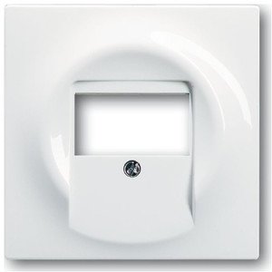 Фото ABB Impuls 2CKA001753A4989 Накладка розетки информационной (1хUSB, белая)