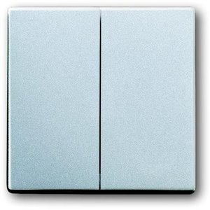 Фото ABB Future Linear 2CKA001751A3092 Клавиша двойная (с возм. подсветки, серебристо-алюминиевая)