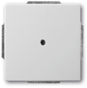 Фото ABB Pure steel 2CKA001710A3752 Вывод кабеля (под рамку, с/у, сталь)