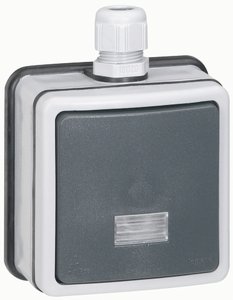 Фото Legrand Plexo 090464 Переключатель 1-клавишный 2-х полюсный (10 А, IP66, подсветка, в сборе, открытая установка, антрацит)