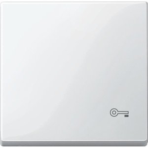 Фото Schneider Electric System M MTN3303-0319 Клавиша одиночная "Ключ" (полярно-белая)